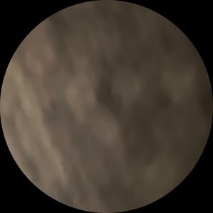 Meet your Posher, Quoya